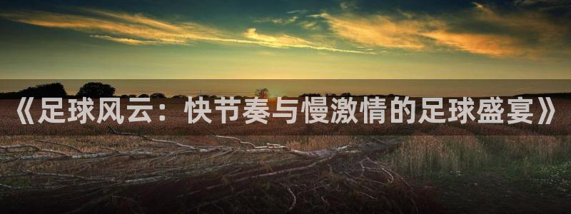 飞速直播体育nba无插件：《足球风云：快节奏与慢激情的足球盛宴》