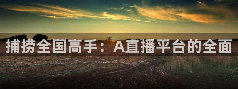 飞速体育直播app下载：捕捞全国高手：A直播平台的全面