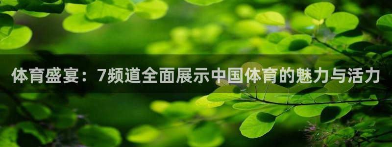 飞速直播nba：体育盛宴：7频道全面展示中国体育的魅力与活力