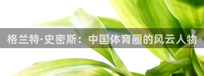 nba直播吧无插件版飞速：格兰特·史密斯：中国体育圈的风云人物