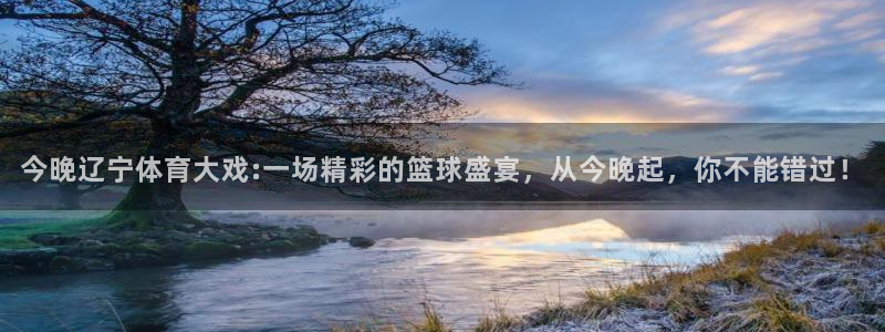 极速体育飞速直播：今晚辽宁体育大戏:一场精彩的篮球盛宴，从今晚起，你不能错过！